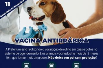 Vigilância Epidemiológica divulga calendário de vacinação contra a raiva para o mês de novembro