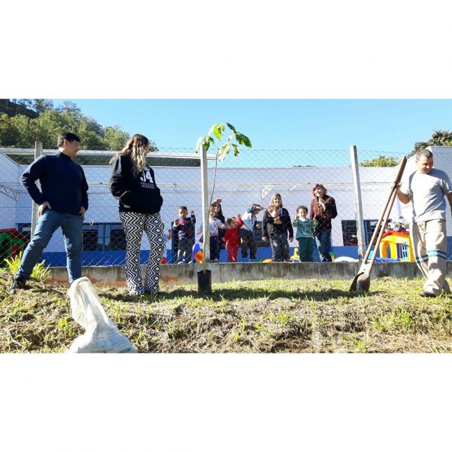 Dia do Meio Ambiente é comemorado com plantio de Ipês em Águas de Lindóia