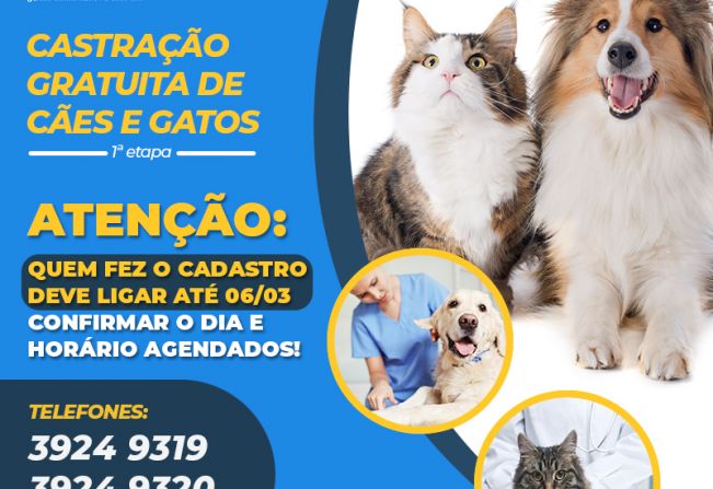 Prefeitura realizará castração de animais neste final de semana